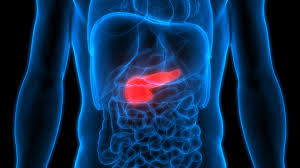 One of those nightmare cancers that tend to progress insidiously and unrecognisably until finally detected at a late and incurable stage. Pancreas And Diabetes Role And Insulin