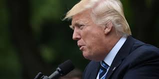 Articles & Insights by Michelle Toh