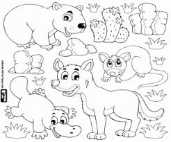 34+ dingo coloring pages for printing and coloring. Australian Wild Animals Coloring Pages Printable Games