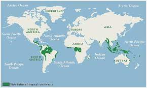 About half the worlds tropical rainforest has now been cleared. Ever Been To A Tropical Rainforest Rainforest Map Rainforest Activities Rainforest Biome