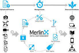 Digital assets are containers for stored value inside digital environments. What Is Digital Asset Management Benefits Best Practices More Merlinone