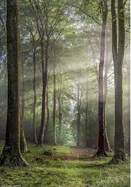 Landscape Photographer Of The Year Nature Pictures Landscape Photographers Landscape Photos