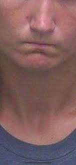 On July 15, 2019, Detectives of the Criminal Investigations Division (CID)  at the Wakulla County Sheriff's Office arrested three subjects after three  vehicles were burglarized in Crawfordville. On July 12, 2019, two