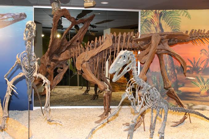 Instalaciones del Museo Paleontológico de Elche, generada por IA