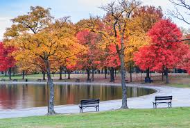 Image result for autumn images