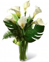 Check spelling or type a new query. The Always Adored Calla Lily Bouquet Today Flower Delivery