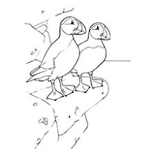 Puffin rock coloring pages mossy shrew. Top 10 Puffin Coloring Pages For Toddlers