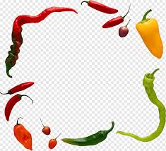 Scott tells me it's because the peppers grow pointy end up! Chili Pepper Black Pepper Vegetable Facing Heaven Pepper Cooking Pan Natural Foods Food Plant Stem Png Pngwing