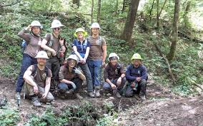 Image result for Dark Forest Green 1986 Fleet