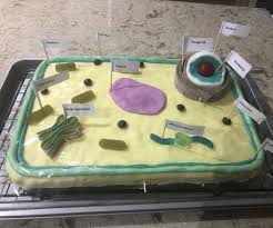 Maybe you would like to learn more about one of these? How To Make 100 Edible Cake Based Candy Plant Cell 6 Steps Instructables