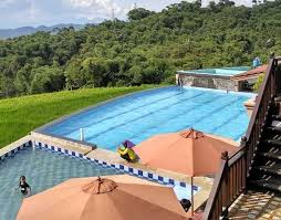 Berenang Dengan Pemandangan Sawah Di Villa Pasir Bungur Bandung