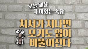 오늘이 처서 라네요 처서 가 지나면 햇볕이 조금은 수그러들고 모기 입이 비뚤어진다고 하니 확실히 좀 선선해지더라고요 오늘은 태풍 소식에 어젯밤부터 비가 촉촉히 내리고 있습니다 오늘 저녁 9시경 … ì²˜ì„œ è™•æš' ê°€ ì§€ë‚˜ë©´ ëª¨ê¸° ìž…ì´ ì™œ ë¹„ëš¤ì–´ì§ˆê¹Œ Ytn Korean Youtube