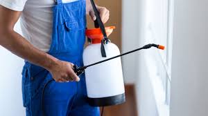 Pest Control Toronto Services Specialising In Both Residential And Commercial Pest Control Services Be Pest Control Services Pest Control Mice Control