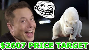 Find the newest tesla stock meme. Tesla New 2607 Price Target Elon Musk Trolls The Bears Tsla New All Time Highs Stock News 2020 Youtube