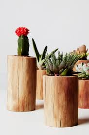 Mini Cactus Planter Set Succulent Planter Rustic Plant Etsy In 2021 Cactus Plant Pots Plant Decor Cactus Plants