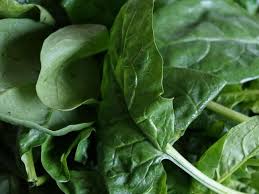 Preparer Les Epinards Frais Les Equeuter Les Laver Et Les Blanchir Recette Par Chef Simon Recette En 2020 Epinard Epinards Sautes Epinard Frais
