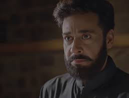 Faysal highlights importance of grey characters like Chinar Khan