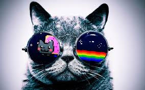 Unicorn Galaxy Cat Wallpaper Download hintergrundbilder katzen, und ersetzen sie ihre alten, langweiligen hintergrundbilder mit hintergrundbilder katzen!