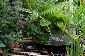 People and wildlife alike enjoy ponds, and even a relatively small water feature can bring life, sound, and beauty to your home.but before you start digging, there are a few things you should ponder before building your pond. Nine Best Garden Water Feature Ideas Bbc Gardeners World Magazine