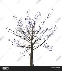 Expertly teach grade 8 process writing, math, the ontario curriculum, grammar, french, technology use, and prepare for the osslt! Tree Mathematical Image Photo Free Trial Bigstock