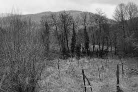 Aerial view of branjevo farm, excavation activity in late september 1995. Srebrenica Bosnia Genocide Photography By Sven Ellerbrock