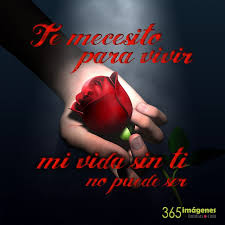 2:10 vídeos de amor 235 877 просмотров. Romanticas Frases Para Fotos Con Mi Novio Novocom Top