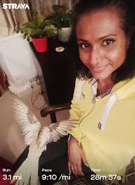 elm active run club evening group run