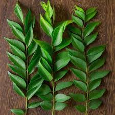 Curry Leaf Increase Hair Growth Baldness Solutions Female Pattern Baldness