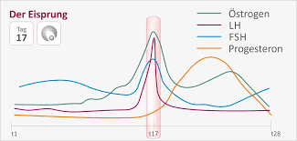 Eisprung, follikelsprung oder ovulation bezeichnet den vorgang im menstruationszyklus, bei dem eine unbefruchtete eizelle aus einem reifen follikel ausgestoßen wird und in den eileiter wandert, wo. Auf Menstruationszyklus Und Eisprung