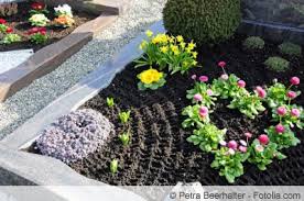 Rahmenbepflanzung mit blumen und stauden. Grabpflanzen Fur Sonnige Und Schattige Standorte Hausgarten Net