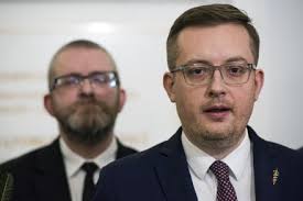 Robert Winnicki Mp Member Confederation Konfederacja Foto de stock de  contenido editorial