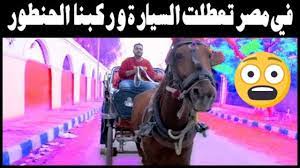 تعطلت السيارة و ركبنا الحنطور في مصر فماذا فعلت تماركوف tmmarcov