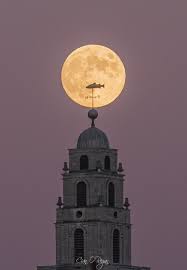 Patrick McKeon (@pdotmckeon)