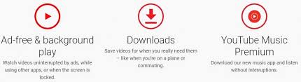 It is offering 1 month subscription on sandisk pendrive of size 8gb, 16 gb, 32 gb and 64 gb etc. Youtube Premium 3 Month Free Trial The Money Ninja