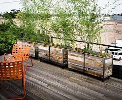 Maybe you would like to learn more about one of these? Flowering Bushes For Planter Boxes The Tree Center