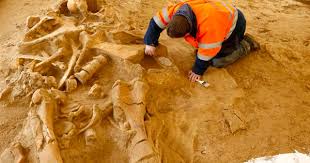 Jul 20, 2020 · giant human skeleton unearthed in varna, bulgaria oldest known gold jewelry in europe discovered at bronze age bulgarian site although the varna civilization did not leave any direct descendants, the members of this ancient culture did leave behind many lasting legacies and set the stage for the emergence of subsequent civilizations throughout europe. Was A 5 Meter Tall Human Skeleton Unearthed In Australia Snopes Com