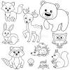 Download and print these forest printable coloring pages for free. 1