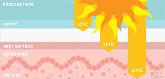 The main source of uv light is the sun. Skin Cancer Risk Factors