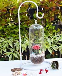 Shop Terrariums Online Gurgaon Delhi Noida India In 2020 Terrarium Jar Terrarium Pots Terrarium