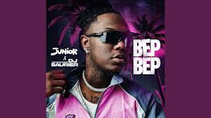 Petit filou (feat. DJ PHIL)