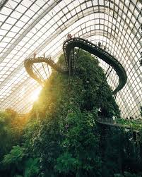 The Most Instagram Worthy Places Singapore Has Are Here Check Out These Singapore Photo Spots And Make Sure Singapore Photos Singapore Travel Instagram Places