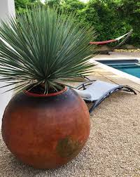 Home >produits >catalogue pot de jardin. Des Poteries Et Jarres En Terre Cuite Pour Votre Decoration Exterieure