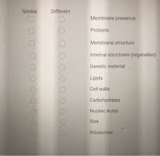 Maybe you would like to learn more about one of these? What Are The Similarities Between Bacterial Cells And Plant Cells