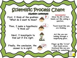 scientific process anchor chart