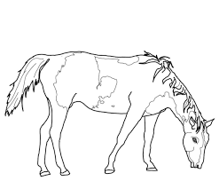 Pinto horse in the forest. Paint Horse Grazing Coloring Page Horse Coloring Pages Animal Coloring Pages Horse Painting