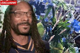 Paris: Saiba mais sobre Snoop Dogg, rapper e comentarista