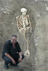 Mermaid Body Found In Washington Mermaids The Body Found Continues To Puzzle If Mermaids Do Real Mermaids Real Life Mermaids Mermaid Skeleton
