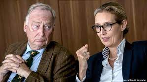 Alice weidel wants you to know that she is angry. Afd S Alice Weidel The Pride Of The Populists A Mystery To Everyone Else Germany News And In Depth Reporting From Berlin And Beyond Dw 04 09 2017