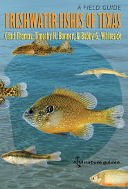 freshwater fishes of texas a field guide river books