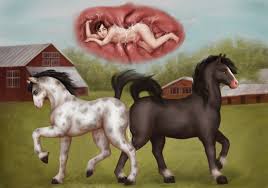 Rule34 - If it exists, there is porn of it   1185902